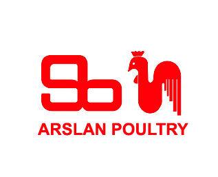 1471331450-arslanlogo1